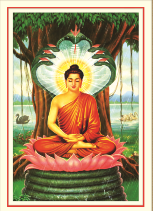Tranh Đính Đá ABC 3D Đức Phật Hàng Phục Rắn Thiêng