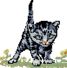 Attack Cat