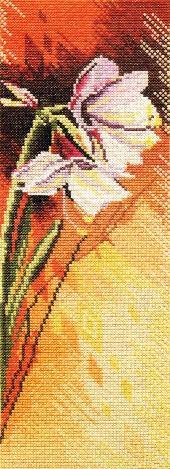 Autumn Flowers