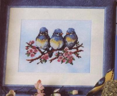 Birds