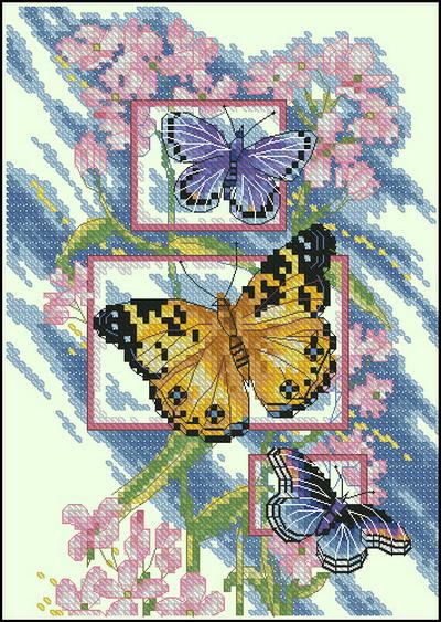 Blossoms And Butterflies