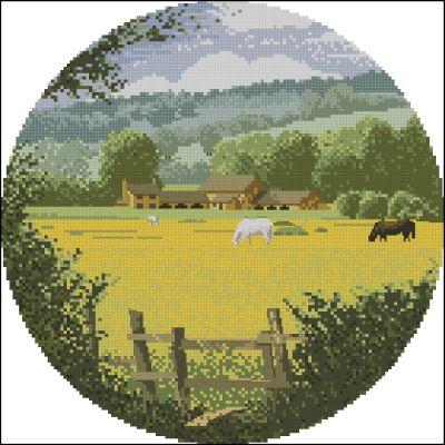 Buttercup Meadow