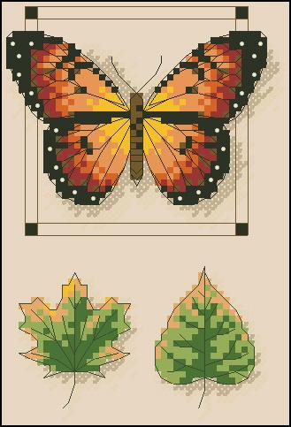 Butterfly and leaves