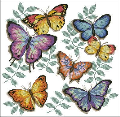 Butterfly profusion