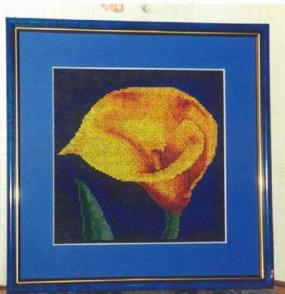 Calla