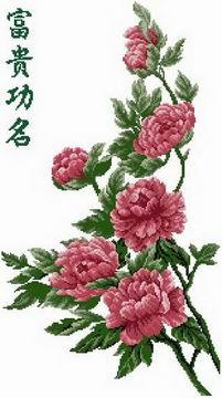 Cành hoa mẫu đơn