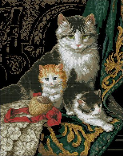 Captivating felines