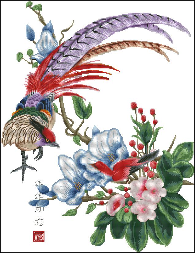chim cong