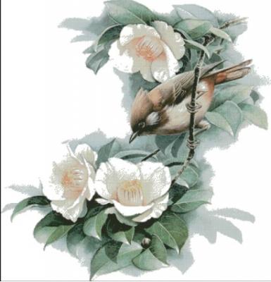 Chú Chim Và Hoa Trắng