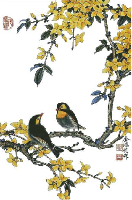 Đôi chim đen bụng vàng