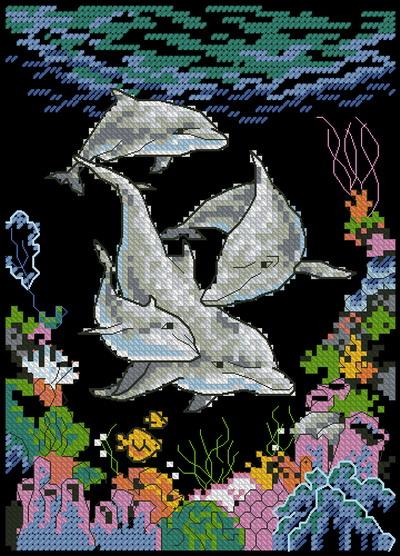 Dolphin playtime