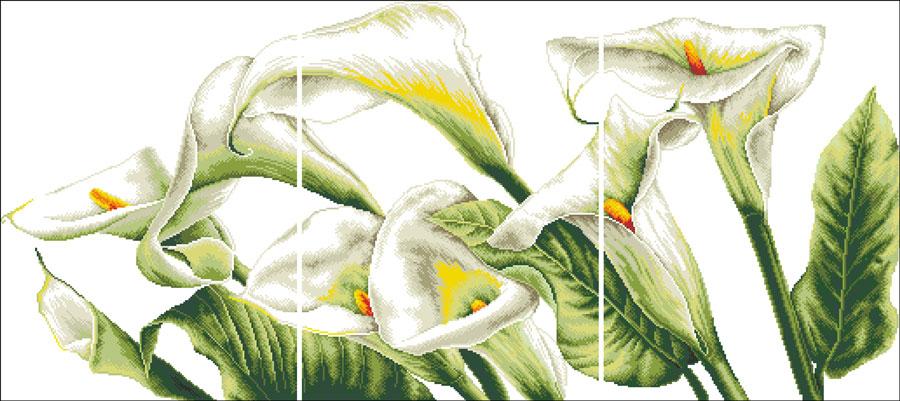 DOME 100822 Calla