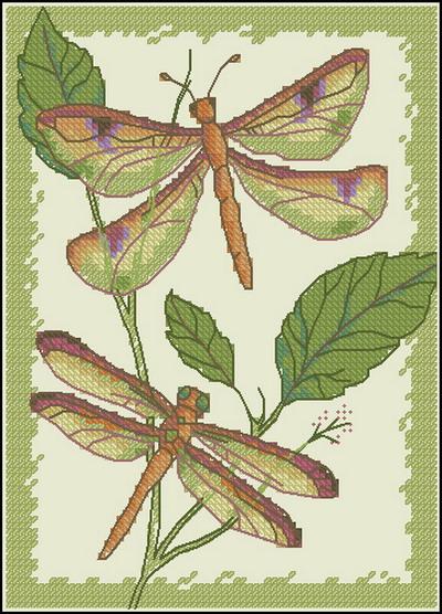 Dragonfly Duo
