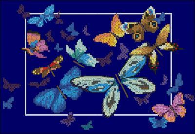 Exotic butterflies