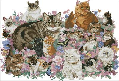 Feline Fascination