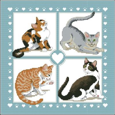 Feline foursome