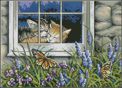 Feline Love
