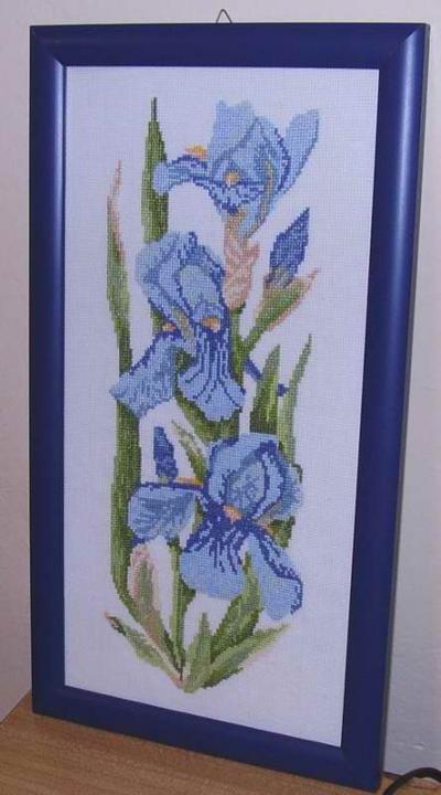 Flowers Collection Irises