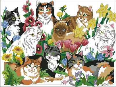 Garden Cats