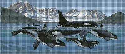 Giants of sea