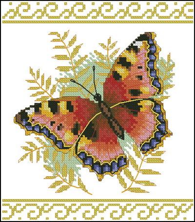 Graceful Butterfly