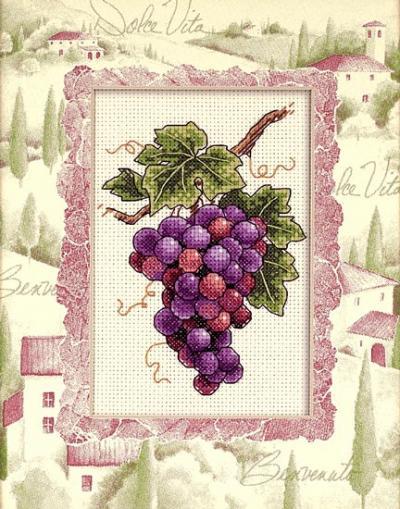 Grapes on Vine