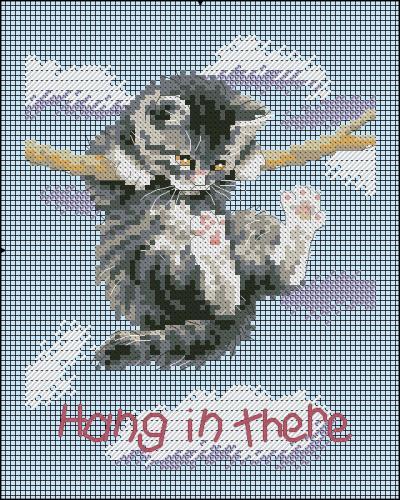 Hang on kitty
