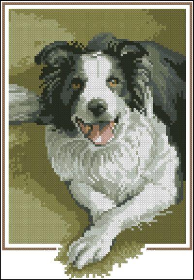 Heritage John Stubbs Dogs Border Collie