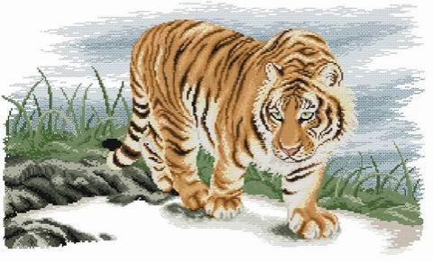 Hổ trên phiến đá