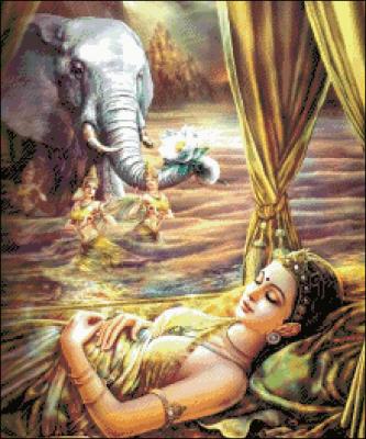 Hoàng Hậu Maya Mộng Thấy Bạch Tượng