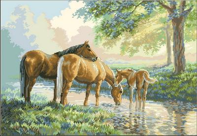 Horses by a stream