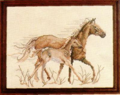 Horses from Lanarte