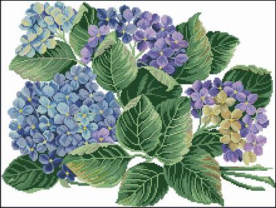 Hydrangea Eva Rosenstand