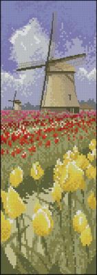 JC Tulip Fields