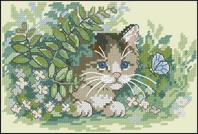Kitten and Butterfly