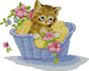 Kitten in basket
