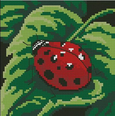 Ladybug