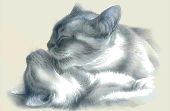 Mèo lười 2