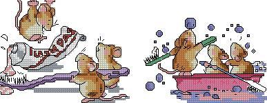 Mouses Tooth Hygiene