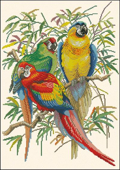 Parrots Eva Rosenstand