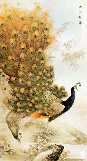 Peacock