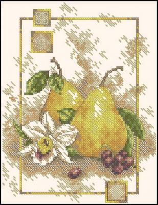 Pears with orchid