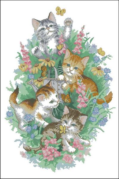 Playful Kitties