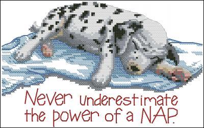 Power nap