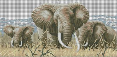 Power of the serengeti