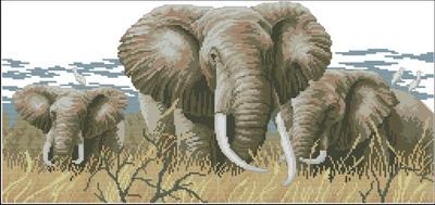 Power of the Serengeti