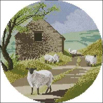 Sheep Track
