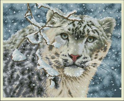 Snow Leopard