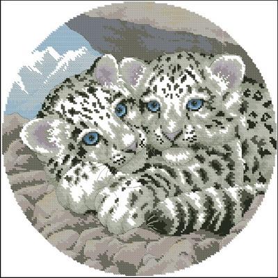 Snow leopards cubs
