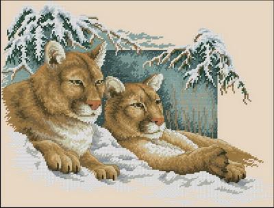 Snowy Cougars